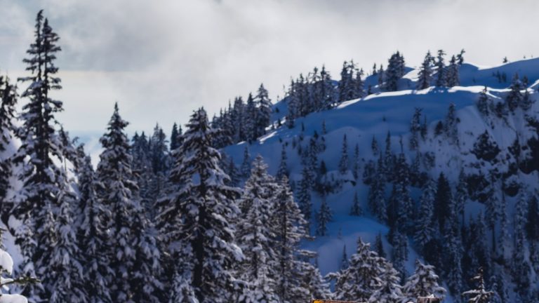 468825a9c1434af58963974579f02c72