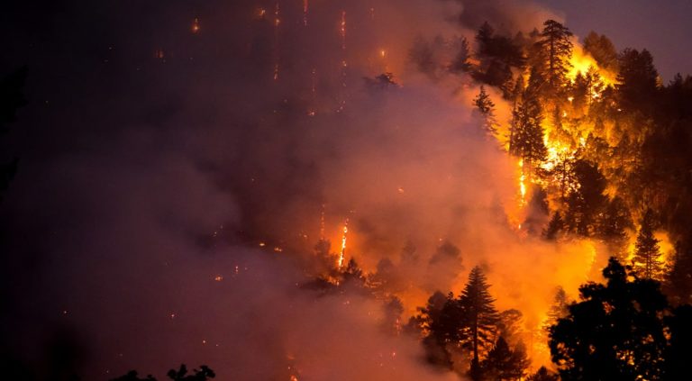 Disaster prevention and management 1